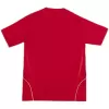 Spain 2008 Retro Jersey Home Soccer Shirt - bestsoccerstore