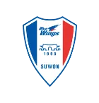 Suwon Samsung Bluewings - bestsoccerstore