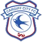 Cardiff City - bestsoccerstore