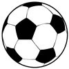 Clubs - bestsoccerstore