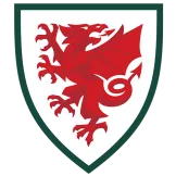 Wales - bestsoccerstore