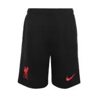 Liverpool Jersey Custom Third Away Soccer Jersey 2020/21 - bestsoccerstore