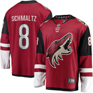 Nick Schmaltz #8 Arizona Coyotes Fanatics Branded Team Color Breakaway Player Jersey - Garnet