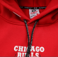 Chicago Bulls Jersey NBA Jersey