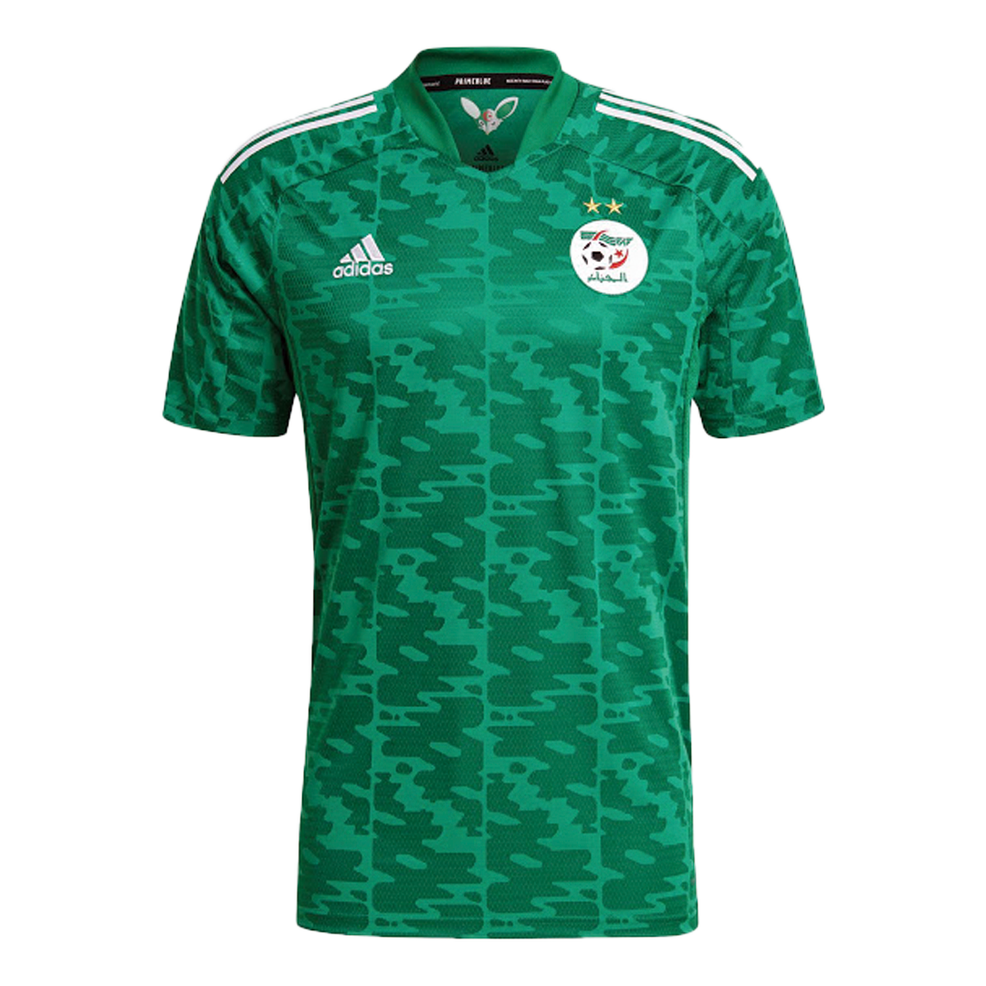 Men's Authentic Nike Algeria Green Soccer Jersey 2021 Algeria