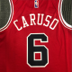 Chicago Bulls Jersey Alex Caruso #6 NBA Jersey 2021