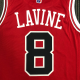 Chicago Bulls Jersey Zach LaVine #8 NBA Jersey 2021