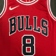 Chicago Bulls Jersey Zach LaVine #8 NBA Jersey 2021