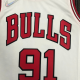 Chicago Bulls Jersey Dennis Rodman #91 NBA Jersey 2021/22