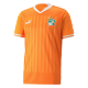Côte d'Ivoire Jersey Custom Soccer Jersey Away 2022
