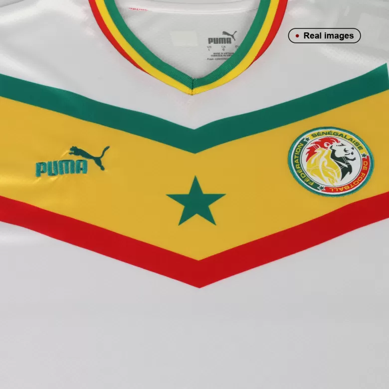 Puma Ghana FA Home Jersey 2022/23- White, Red, Yellow and Green