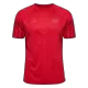 Denmark Jersey Custom Soccer Jersey Home 2022 - bestsoccerstore