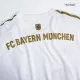 Bayern Munich Jersey Custom Away Soccer Jersey 2022/23 - bestsoccerstore