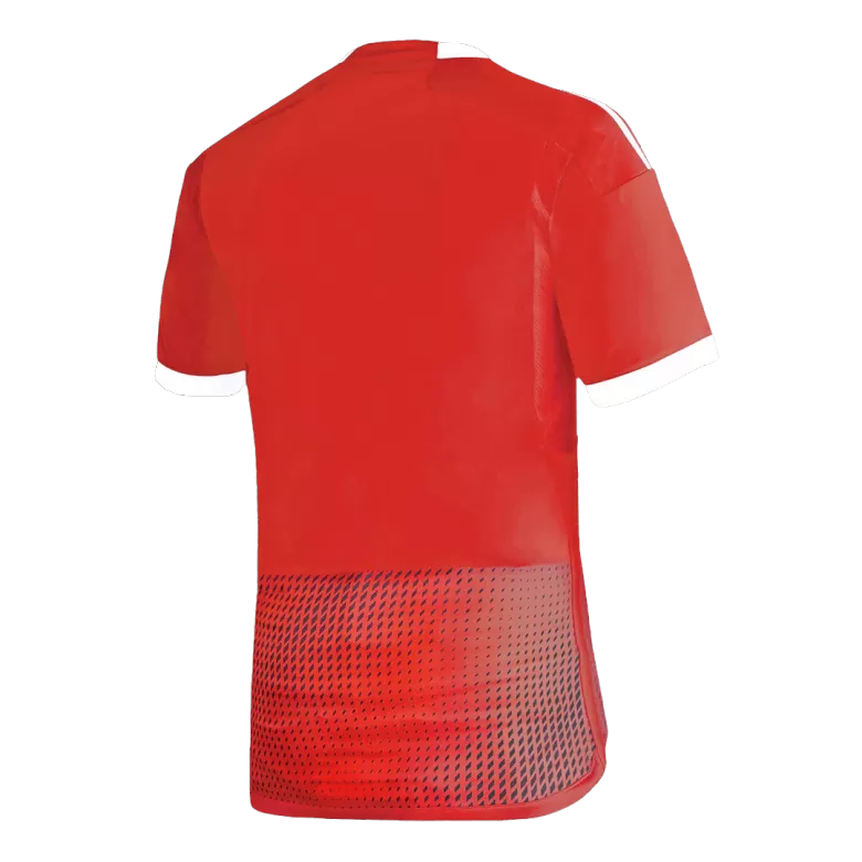 Peru Jersey Custom Away Soccer Jersey 2023 - bestsoccerstore