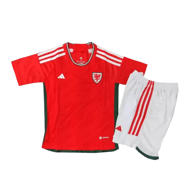 Wales 2021 Polyester T-Shirt (White) (BALE 11)