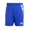 Argentina Soccer Shorts Away 2024 - bestsoccerstore