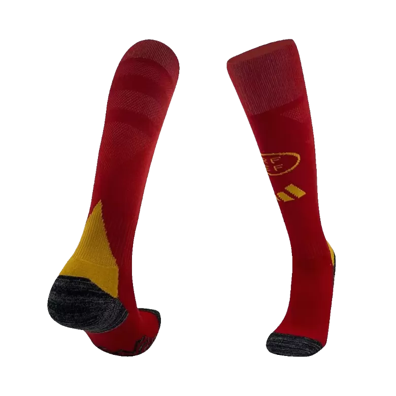 Men's Spain Jersey Soccer Home Socks 2024 - bestsoccerstore