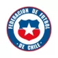 COPA AMERICA  NATIONAL TEAMS - gogoalshop