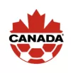 COPA AMERICA  NATIONAL TEAMS - bestsoccerstore