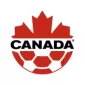COPA AMERICA  NATIONAL TEAMS - gogoalshop
