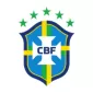 COPA AMERICA  NATIONAL TEAMS - gogoalshop