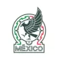 COPA AMERICA  NATIONAL TEAMS - gogoalshop