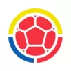 COPA AMERICA  GROUP A  - bestsoccerstore