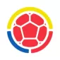 COPA AMERICA  NATIONAL TEAMS - gogoalshop