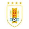 COPA AMERICA  NATIONAL TEAMS - bestsoccerstore