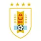 COPA AMERICA  NATIONAL TEAMS - gogoalshop