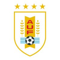 COPA AMERICA  NATIONAL TEAMS - bestsoccerstore