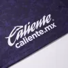 Pumas UNAM Soccer Jersey Third Away Custom Shirt 2024/25 - bestsoccerstore