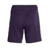 Manchester United Soccer Shorts Custom Away 2025/26 - bestsoccerstore