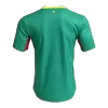 Senegal Away Player Version Soccer Jersey World Cup 2026 - bestsoccerstore