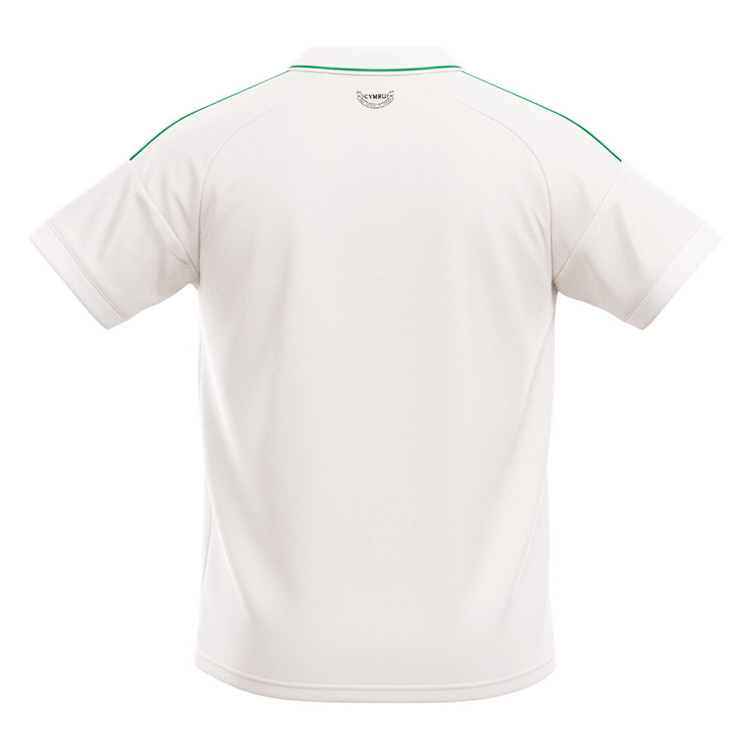 Wales Soccer Jersey Away Shirt World Cup 2026