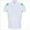 Ireland Soccer Jersey Away Custom Shirt World Cup 2026 - bestsoccerstore
