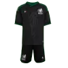 Kids Mexico Third Away Custom Soccer Kits World Cup 2026 - bestsoccerstore