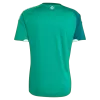 Northern Ireland Soccer Jersey Home Shirt World Cup 2026 - bestsoccerstore