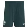 Mexico Soccer Shorts Custom Away World Cup 2026 - bestsoccerstore