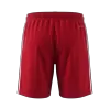 Liverpool Soccer Shorts Custom Away 2026/27 - bestsoccerstore