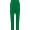 Jamaica Soccer Training Tracksuit 2026/27 Green - bestsoccerstore